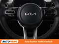 Kia Picanto 1.2 Gold Grau - thumbnail 19