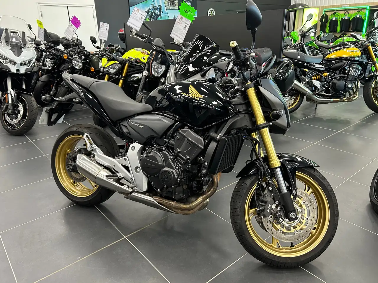 Honda Hornet