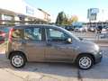 Fiat Panda Panda III 2021 1.0 firefly hybrid s&s Grigio - thumbnail 14