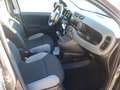 Fiat Panda Panda III 2021 1.0 firefly hybrid s&s Grigio - thumbnail 6