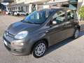 Fiat Panda Panda III 2021 1.0 firefly hybrid s&s Grigio - thumbnail 2