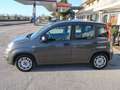 Fiat Panda Panda III 2021 1.0 firefly hybrid s&s Grigio - thumbnail 15
