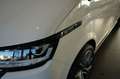 Volkswagen T6 Multivan T6.1 Multivan DSG | Navi | LED | Kamera | AHK Wit - thumbnail 29