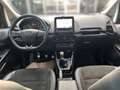 Ford EcoSport ST-Line mit Sitzhzng Gris - thumbnail 10