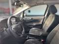 Ford EcoSport ST-Line mit Sitzhzng Gris - thumbnail 8