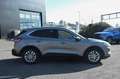 Ford Kuga 1.5 EcoBlue 120 CV 2WD Titanium Business Grau - thumbnail 4