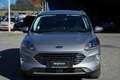 Ford Kuga 1.5 EcoBlue 120 CV 2WD Titanium Business Grau - thumbnail 2