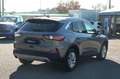 Ford Kuga 1.5 EcoBlue 120 CV 2WD Titanium Business Grau - thumbnail 5