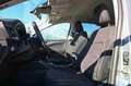 Ford Kuga 1.5 EcoBlue 120 CV 2WD Titanium Business Grau - thumbnail 14