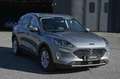 Ford Kuga 1.5 EcoBlue 120 CV 2WD Titanium Business Grau - thumbnail 3