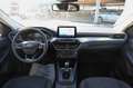 Ford Kuga 1.5 EcoBlue 120 CV 2WD Titanium Business Grau - thumbnail 11