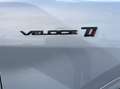 Alfa Romeo Stelvio 2.2 t Veloce Ti Q4 210cv auto - TETTO APRIBILE Bianco - thumbnail 13