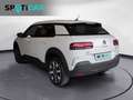 Citroen C4 Cactus PureTech 110 S&S Shine Pack Weiß - thumbnail 7