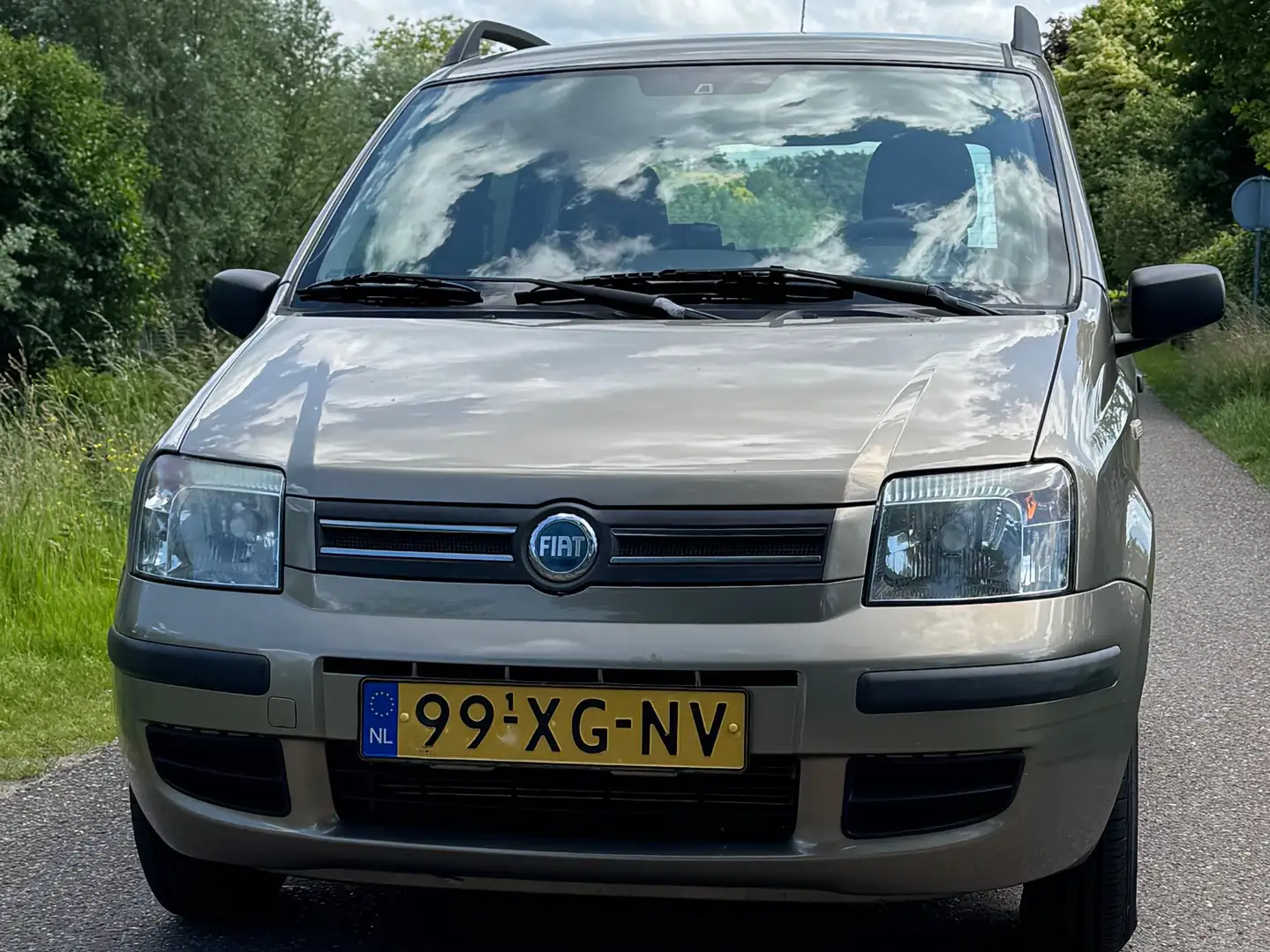 Fiat Panda Panda 1.2 Edizione Cool Beige - 2
