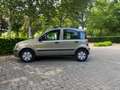 Fiat Panda Panda 1.2 Edizione Cool Beige - thumbnail 1