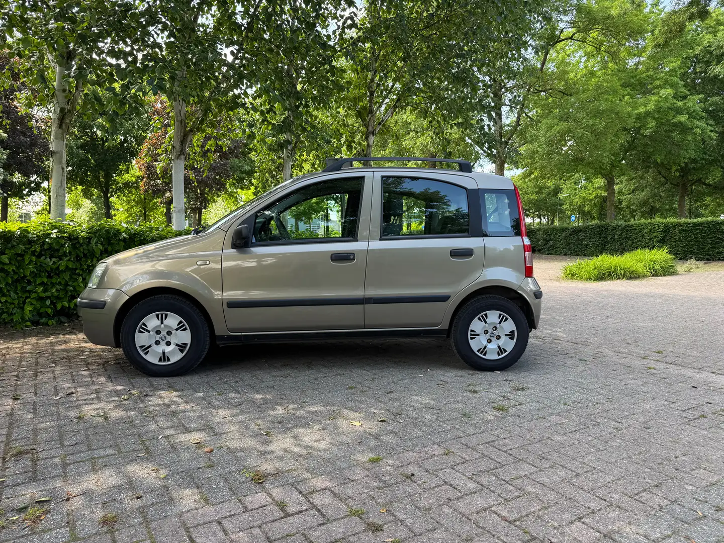 Fiat Panda Panda 1.2 Edizione Cool Beige - 1
