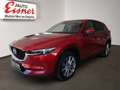 Mazda CX-5 CD184 AWD REVOLUTION TOP BIG DEAL Rot - thumbnail 13