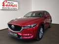 Mazda CX-5 CD184 AWD REVOLUTION TOP BIG DEAL Rot - thumbnail 2