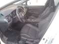Toyota C-HR 125H Advance Blanco - thumbnail 5