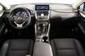 Lexus NX 300h Executive Navigation 4WD 197cv Beige - thumbnail 6