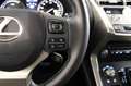 Lexus NX 300h Executive Navigation 4WD 197cv Beige - thumbnail 32