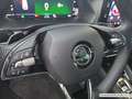 Skoda Octavia Combi 2,0 TDI Style DSG DAB LED Schwarz - thumbnail 14