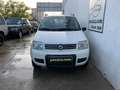 Fiat Panda 4x4 1.3Mjt Cross Blanco - thumbnail 7