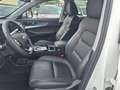 DR Automobiles DR6.0 1.5 turbo Gpl cvt Bianco - thumbnail 15