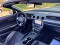 Ford Mustang 5.0 Ti-VCT V8 Convertible GT Schwarz - thumbnail 10
