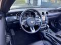 Ford Mustang 5.0 Ti-VCT V8 Convertible GT Schwarz - thumbnail 14