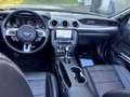 Ford Mustang 5.0 Ti-VCT V8 Convertible GT Schwarz - thumbnail 13