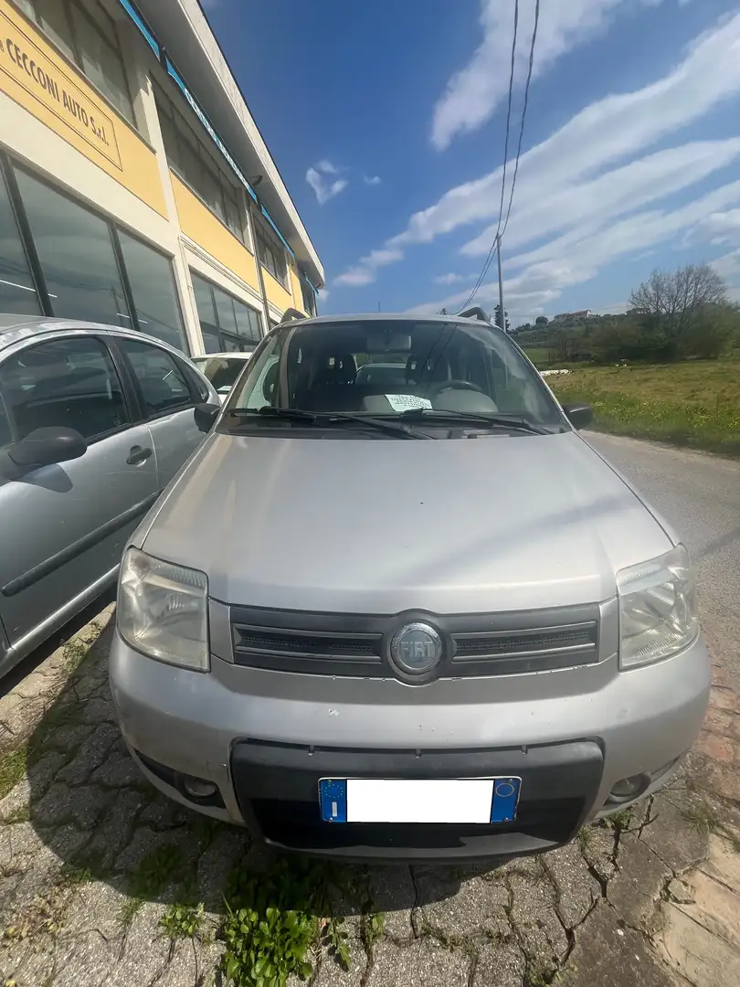 Fiat Panda Panda 1.2 Climbing 4x4 IMPIANTO A METANO Argento - 1