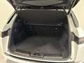 Land Rover Range Rover Evoque Range Rover Evoque 2.0D I4 180 CV AWD SE IVA ESPO Bianco - thumbnail 14