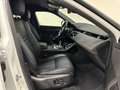 Land Rover Range Rover Evoque Range Rover Evoque 2.0D I4 180 CV AWD SE IVA ESPO Bianco - thumbnail 3