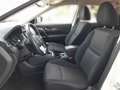 Nissan X-Trail X-TRAIL Acenta 1,6 dCi 4x4 Weiß - thumbnail 8