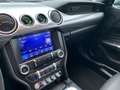 Ford Mustang USA Fastback 5.0i V8 BULLITT 480PK MagneRide B&O S Verde - thumbnail 35