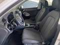 Audi Q3 45 TFSI e PHEV BUSINESS+AHK+ACC+RFK+MATRIX+VC Weiß - thumbnail 4