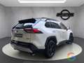 Toyota RAV 4 Hybrid Style 2.5 218cv - PROMO - thumbnail 4
