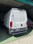 Iveco Daily 3.000 automatico iva compresa - thumbnail 3
