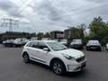 Kia Niro 1.6 GDi Hybrid Aut | DynamicLine | Navi Wit - thumbnail 8