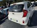 Kia Picanto 1.0 ACTIVE 5P Blanc - thumbnail 5