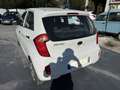 Kia Picanto 1.0 ACTIVE 5P Blanc - thumbnail 4