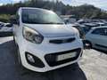 Kia Picanto 1.0 ACTIVE 5P Blanc - thumbnail 1