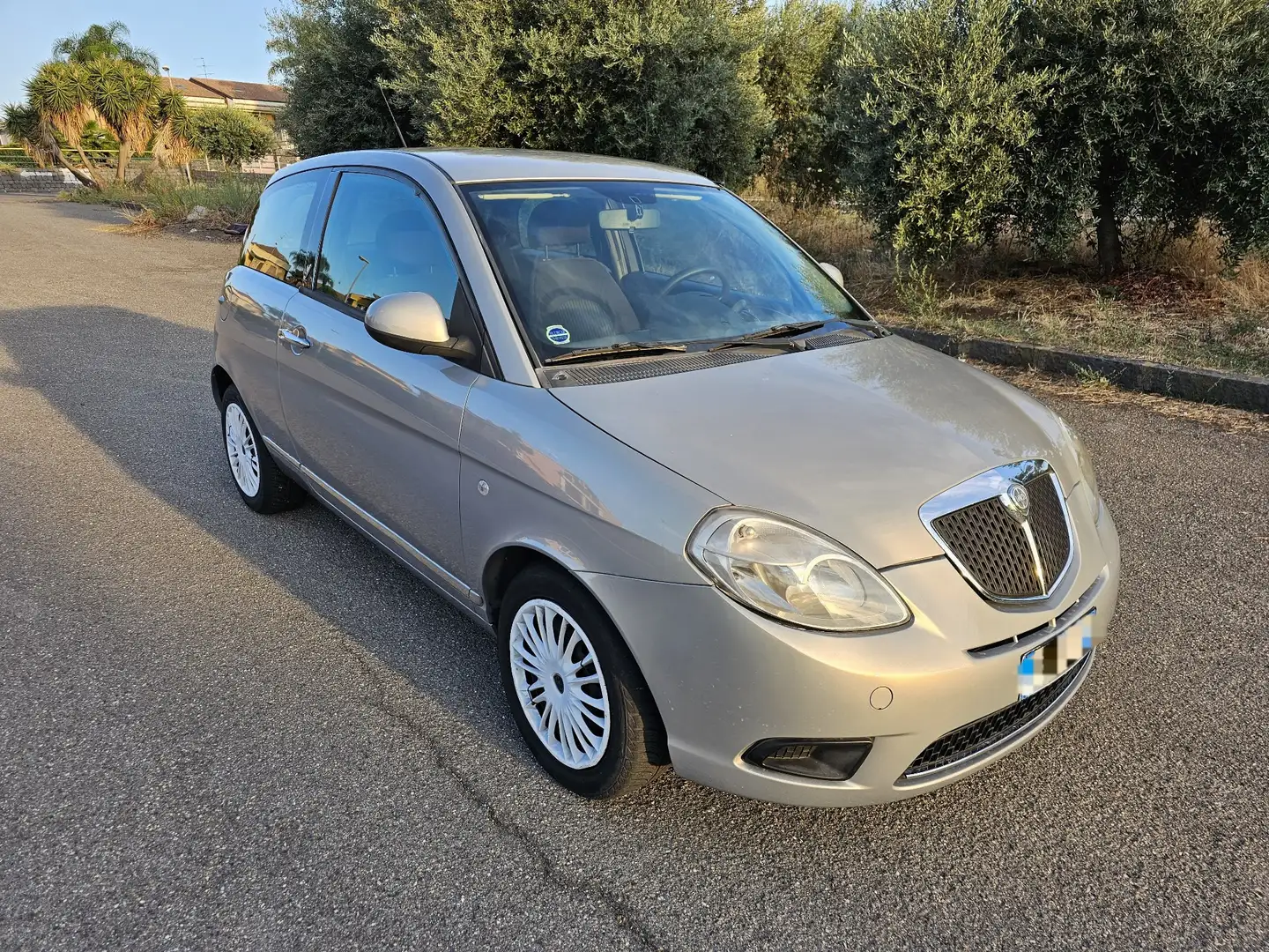 Lancia Ypsilon 1.2 8v Argento - 1