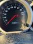 Suzuki Grand Vitara 5p 1.9 ddis Executive 2008 - thumbnail 10