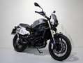 Benelli Leoncino 800 TRAIL - thumbnail 2