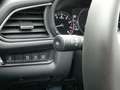 Mazda CX-30 G122 Comfort+/ST AUTO STAHL WIEN 21 Сірий - thumbnail 14