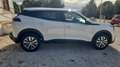 Peugeot 2008 Allure BlueHDI 81kW (110CV) Weiß - thumbnail 4