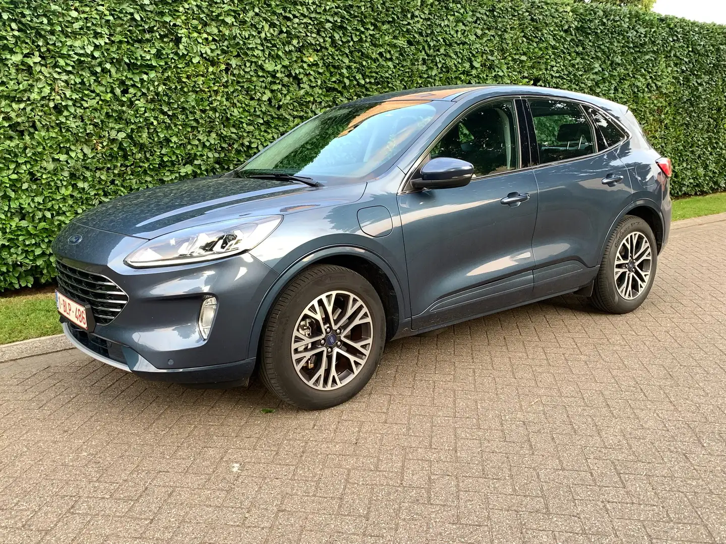 Ford Kuga Kuga 2.5 Duratec PHEV TITANIUM Bleu - 2