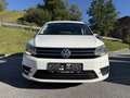 Volkswagen Caddy Comfortline BMT 7 Sitzer Weiß - thumbnail 3